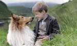13 Filmova o psima koji nadahnjuju kupnju šteneta